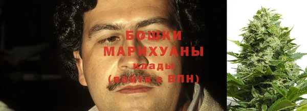 гидра Михайловка