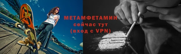 гидра Михайловка