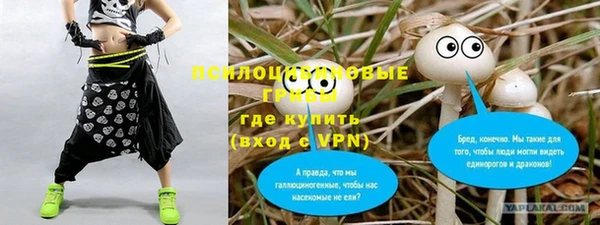 мдма Михайлов