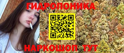 дмт Канаш